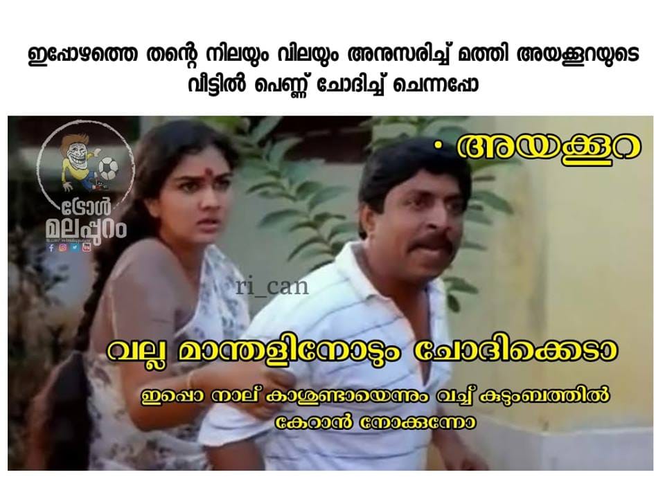 മത്തിയുടെ ‘അയല’ത്തെത്തില്ല കോഴി;  ട്രോളിങ് നിരോധനത്തിൽ ​േട്രാൾ ചാകര